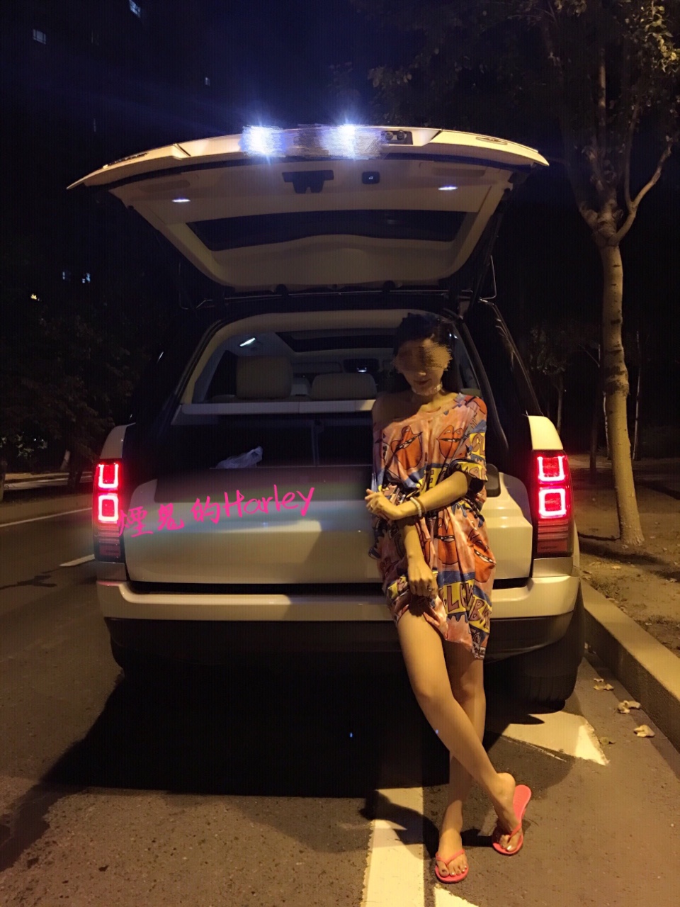 户外露出达人烟鬼的Harley经典系列