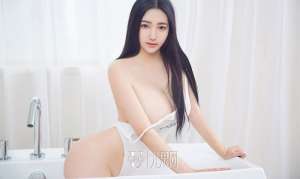 精忠报母