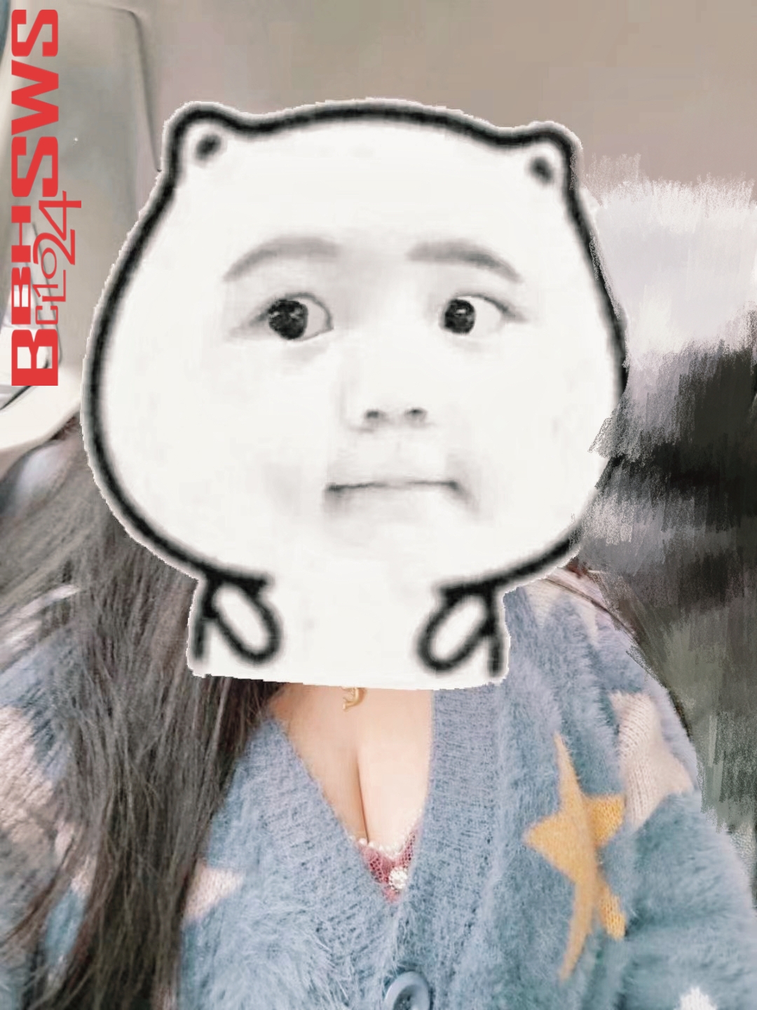 百褶裙和海豚妹