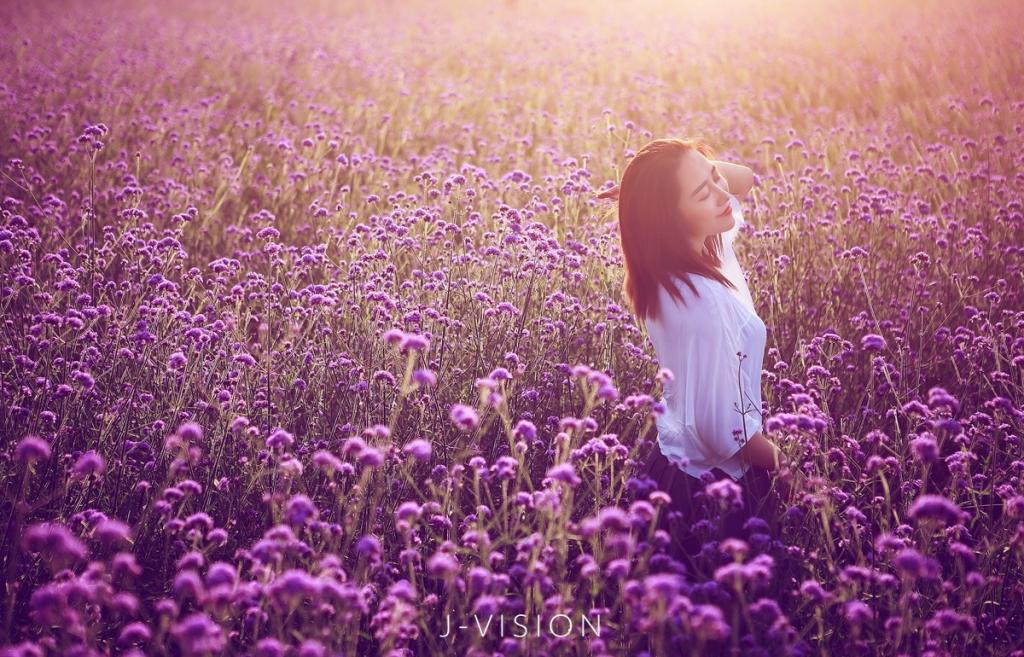 清纯女孩花海从中最娇艳性感美图