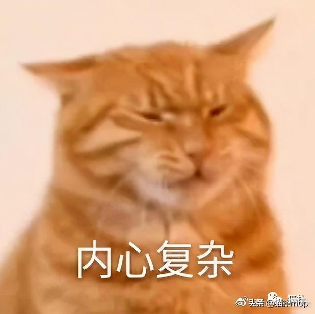 令人意想不到的奇葩表白墙,哈哈哈哈场面一度控制不住