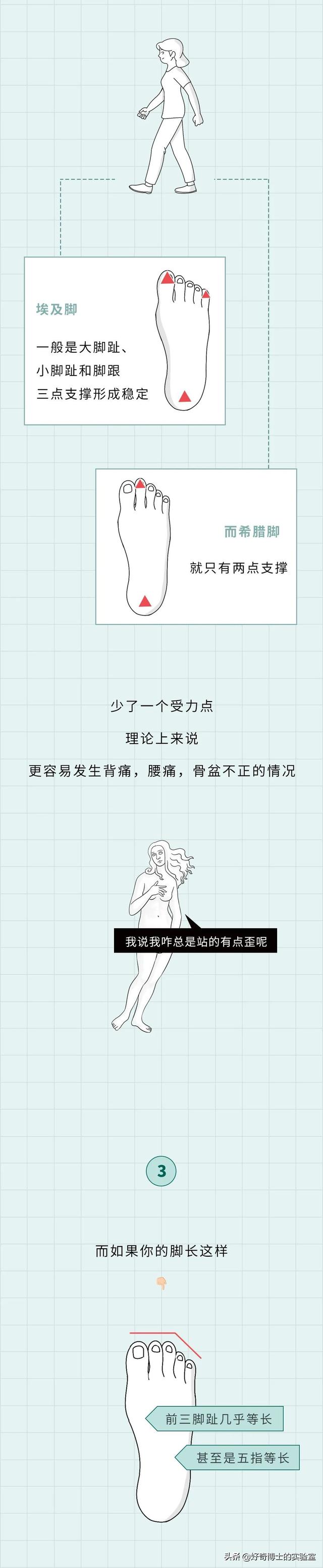 埃及脚、希腊脚、罗马脚...哪种脚型的美女帅哥最多?