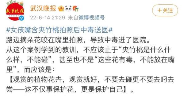 女孩和花合影中毒,网友:安陵容的话要信……
