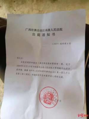 百香果女孩案(广西“百香果女童”案庭前会议现新案情：杨光毅供述曾猥亵其他女孩)
