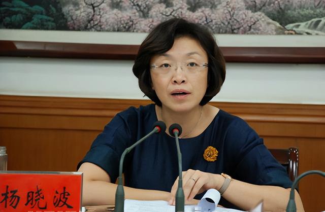 “美女市长”杨晓波,为升迁出卖色相委身多位高官,敛财1400万