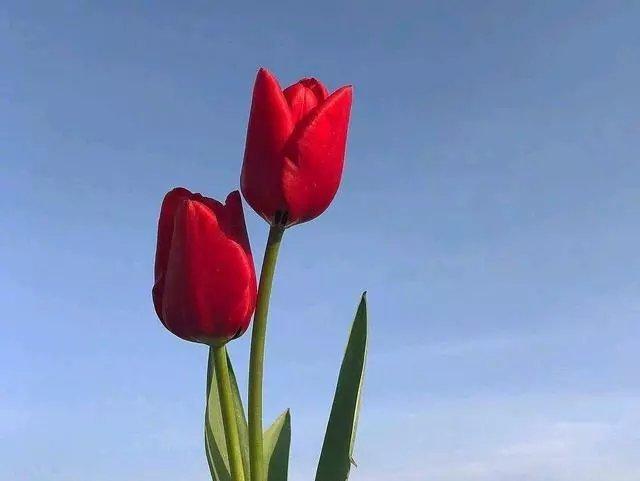 励志霸气的女生qq签名句子,超有格调,百看不厌!