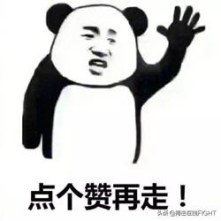 「格斗女神」柔术第一美女邓恩:励志辣妈别样风情性感出击