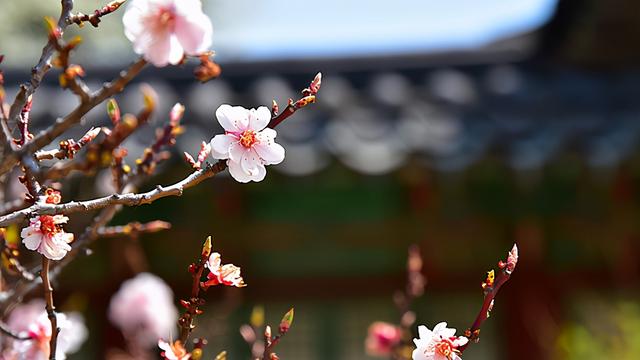 雷姓全集:10个品貌非凡的宝宝名,个个都富有韵味