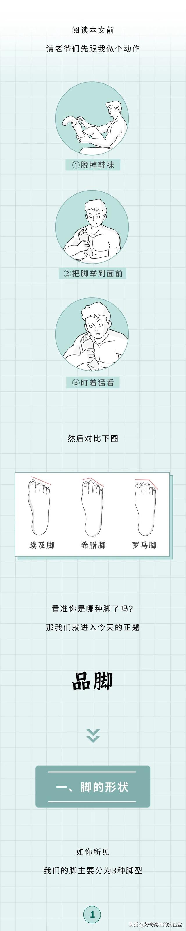 埃及脚、希腊脚、罗马脚...哪种脚型的美女帅哥最多?