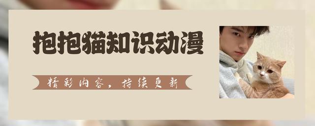 胸部的形状,可以分为几种?女人如何正确计算自己的罩杯?