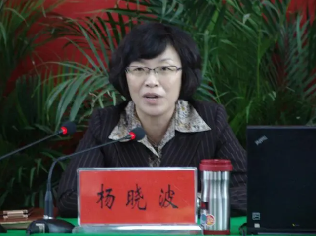 “美女市长”杨晓波,为升迁出卖色相委身多位高官,敛财1400万