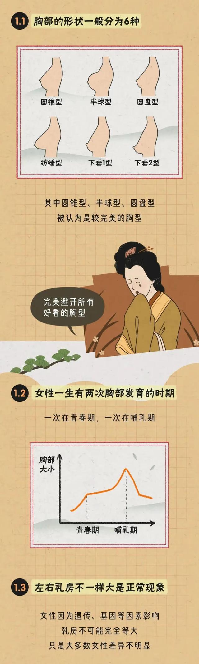 胸部的形状,可以分为几种?女人如何正确计算自己的罩杯?
