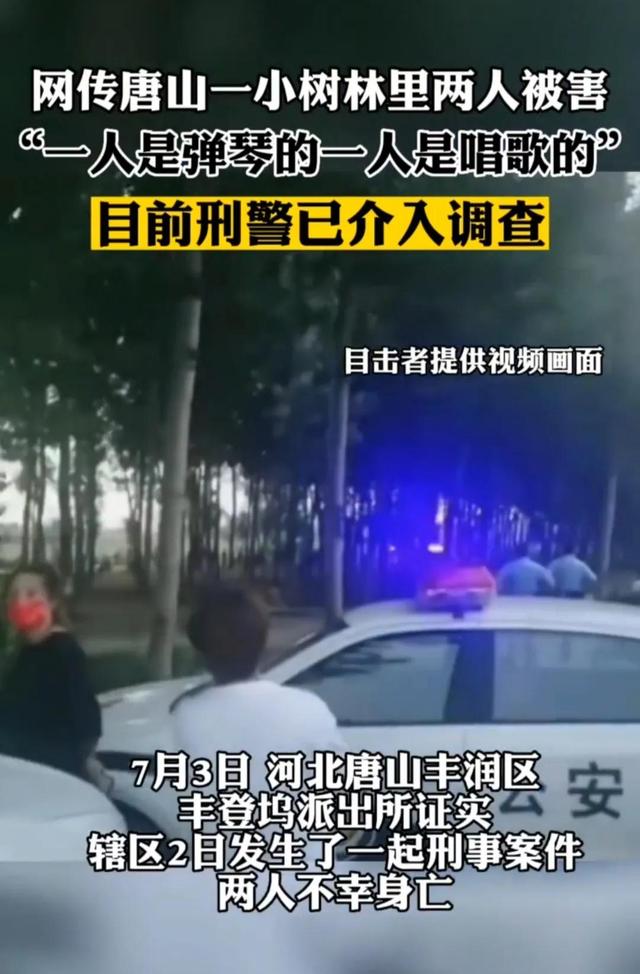 唐山又出现小树林事件,两人遇害