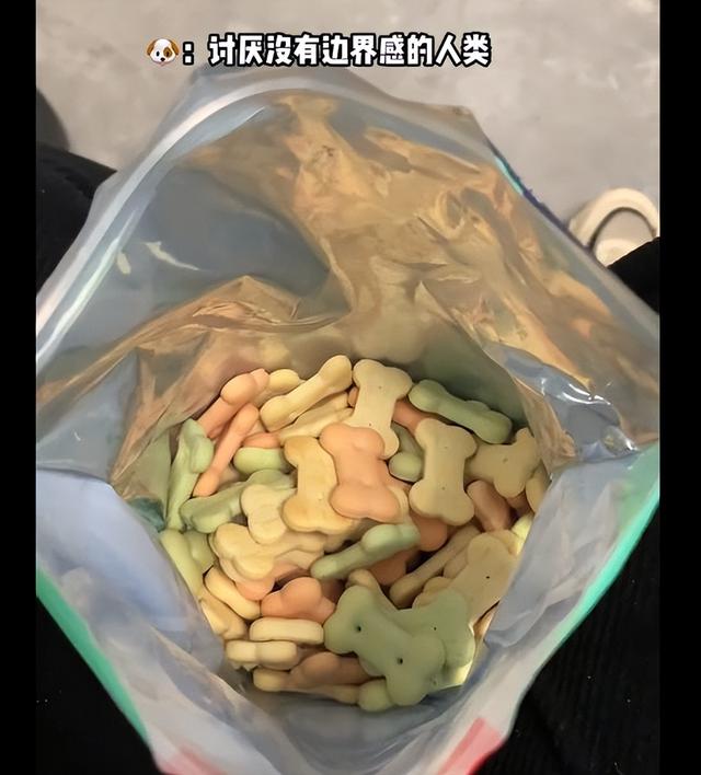 女子吃零食狗子一直盯着自己,低头看后语塞了:我真不是故意的