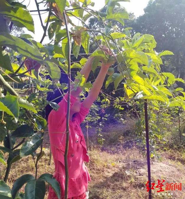 广西“百香果女童”案庭前会议现新案情:杨光毅供述曾猥亵其他女孩