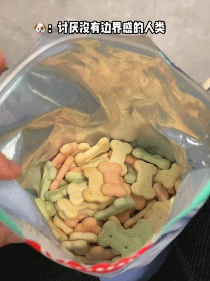 女子吃零食狗子一直盯着自己,低头看后语塞了:我真不是故意的