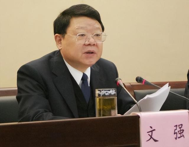 “打黑局长”文强堕落史:霸占女警花10年,被捕时家中发现2000万