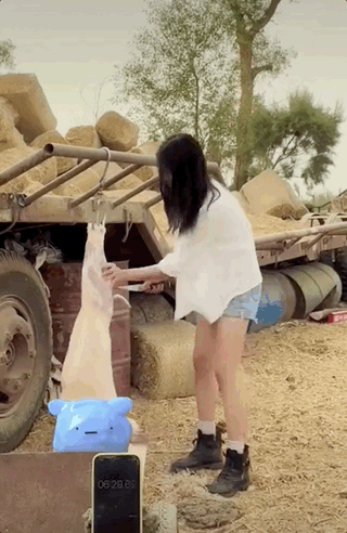 “噶羊少女”一夜爆火,惊呆4000w网友:没想到下手竟然那么狠?
