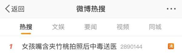 女孩和花合影中毒,网友:安陵容的话要信……
