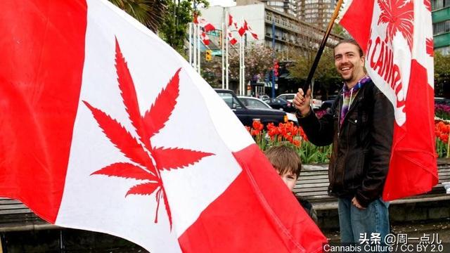 《吸大麻的孩子》:我居然从这个毒贩身上看到了成功三要素