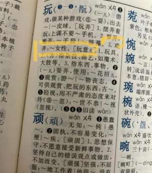 怎样玩女人(新华字典上出现“玩女性”，被网友扒出，家长：这咋给孩子解释)
