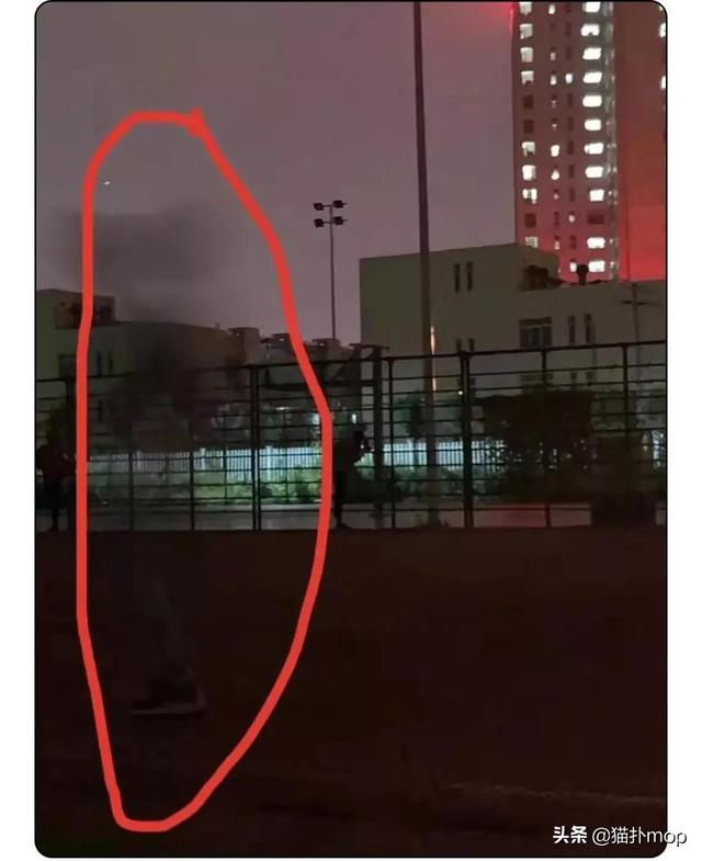 令人意想不到的奇葩表白墙,哈哈哈哈场面一度控制不住