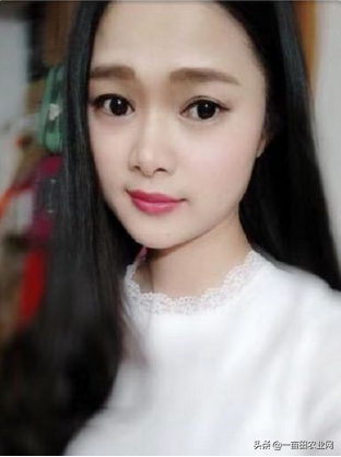 90后美女通过直播卖菠萝,几小时狂卖上百万斤