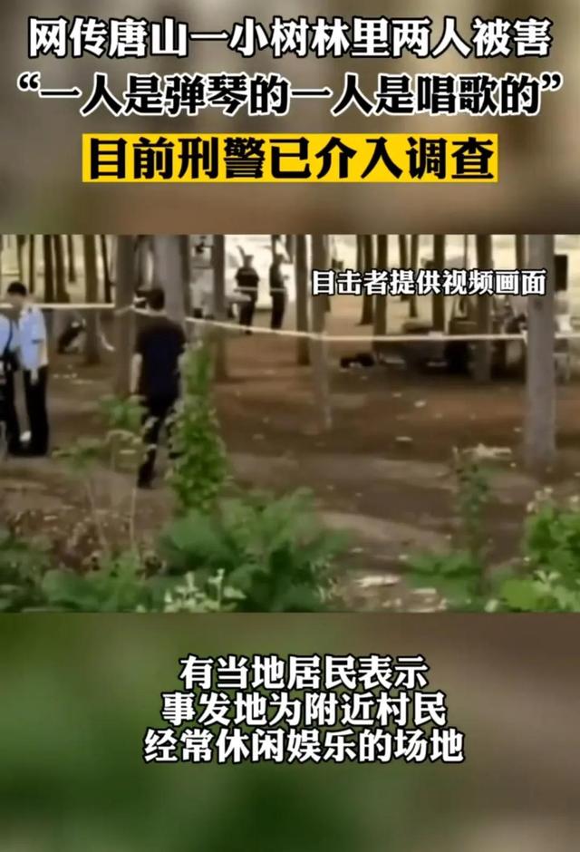 唐山又出现小树林事件,两人遇害