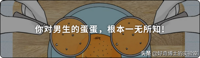 埃及脚、希腊脚、罗马脚...哪种脚型的美女帅哥最多?