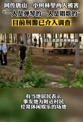西红柿女孩(唐山又出现小树林事件，两人遇害)
