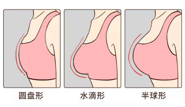 原来女生的胸部形状有那么多种?东亚女性胸部偏小真是基因所致?