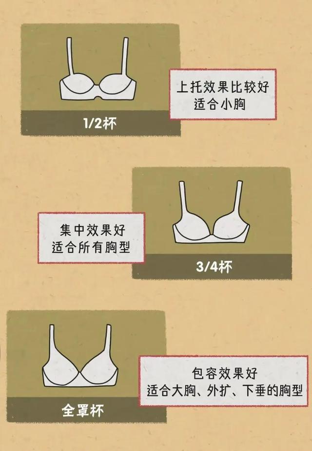 胸部的形状,可以分为几种?女人如何正确计算自己的罩杯?