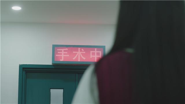 《我的刺猬女孩》结局终是定局,吴景昊昏迷十年,南南因合照病危
