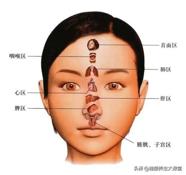 很全面的“面诊”(一看就懂,一学就会)