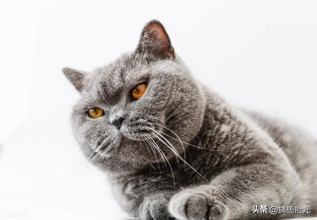 撒娇的女人最好命,是有科学依据的
