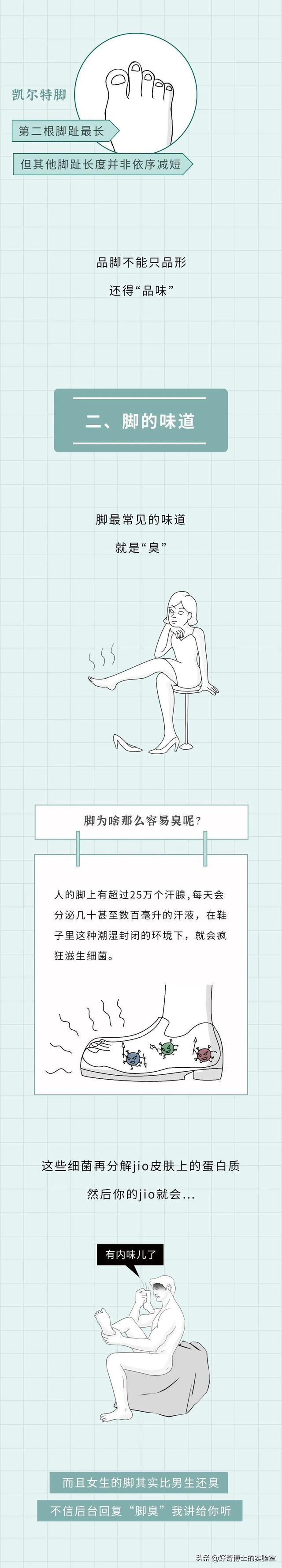 埃及脚、希腊脚、罗马脚...哪种脚型的美女帅哥最多?