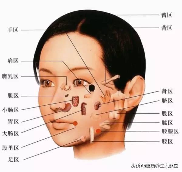 很全面的“面诊”(一看就懂,一学就会)