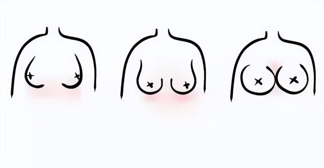 原来女生的胸部形状有那么多种?东亚女性胸部偏小真是基因所致?