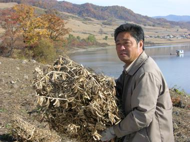 89年《篱笆女人和狗》:你还记得这部好剧和剧里的歌么?