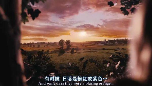 2021高考结束了,推荐值得看的电影