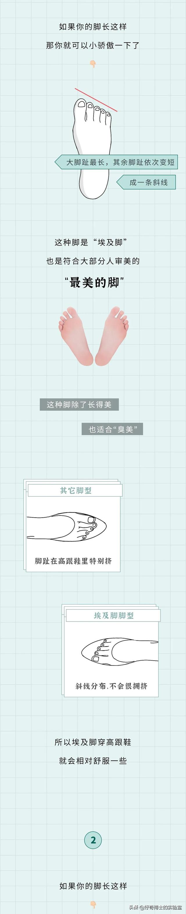 埃及脚、希腊脚、罗马脚...哪种脚型的美女帅哥最多?