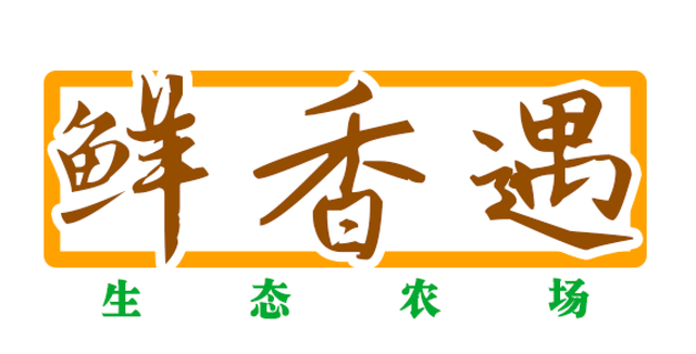 黑猪肉,回味猪肉的“老味道”