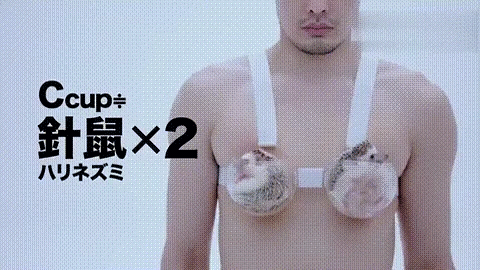 女人胸部太大,到底会有什么烦恼?这是我听过最直接全面的答案