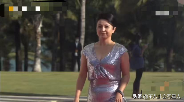 最新女星红毯!佟丽娅透视装性感,文咏珊高开叉,颜丙燕身材丰腴