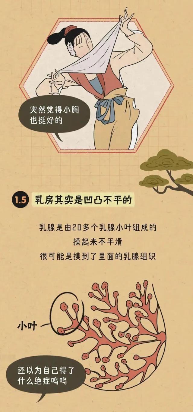 胸部的形状,可以分为几种?女人如何正确计算自己的罩杯?