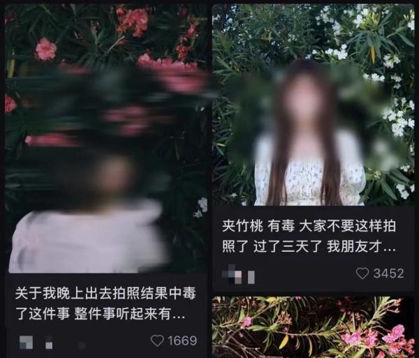 女孩和花合影中毒,网友:安陵容的话要信……