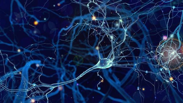 人身上哪个部位挨打最疼?轻轻一拳直接死亡,打架时记得保护好