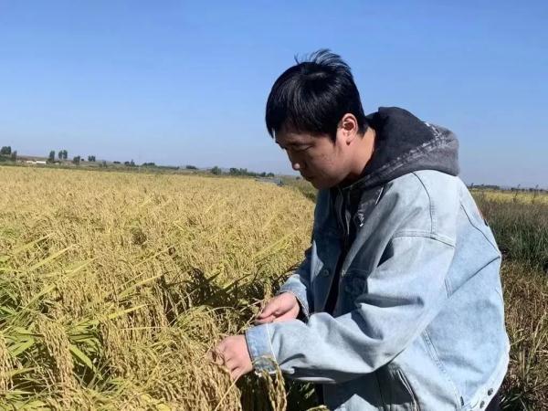 金融硕士回老家种田?“造火箭的少女”回乡种树?他们究竟想干啥?