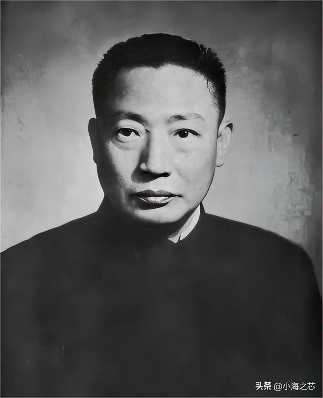 军统之花向影心:为毛人凤生下8个孩子,戴笠死后,被送入疯人院