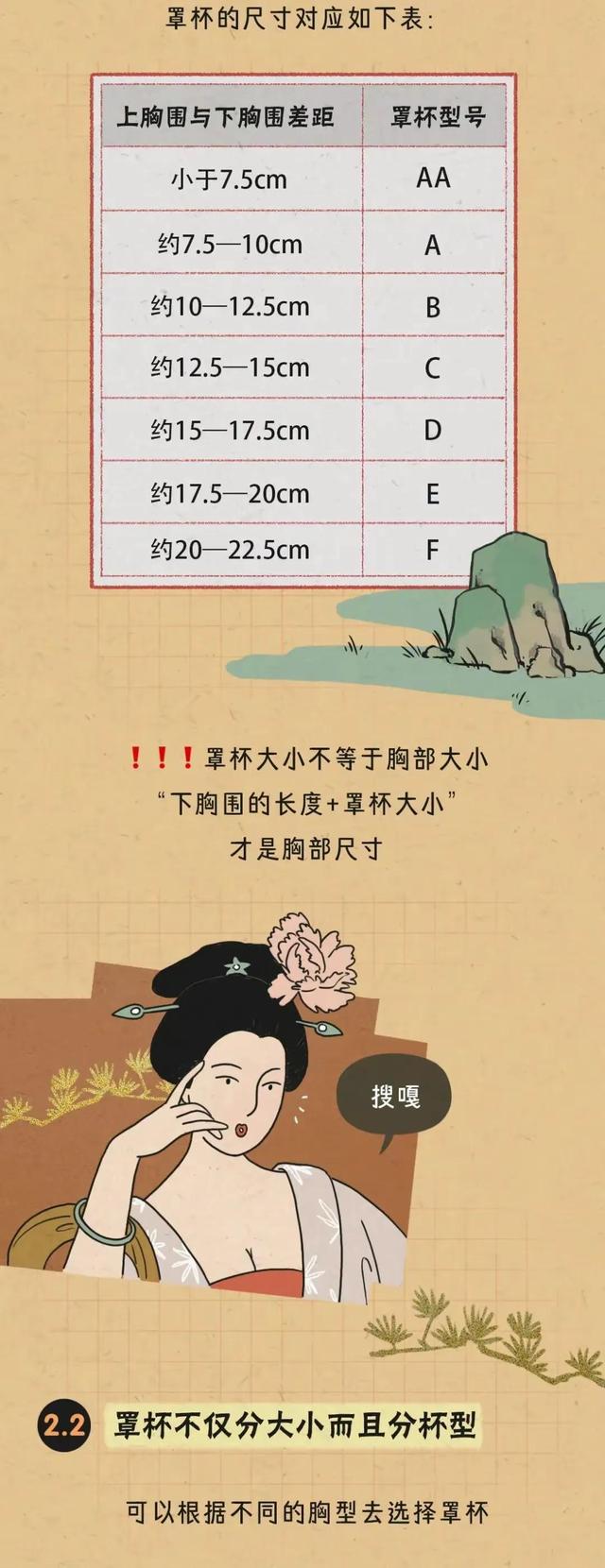 胸部的形状,可以分为几种?女人如何正确计算自己的罩杯?